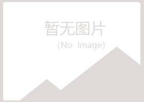 兰山区迷茫采矿有限公司